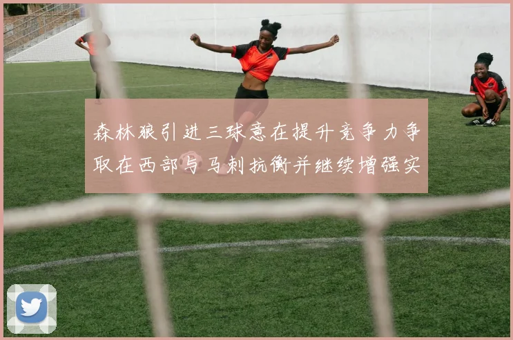 森林狼引进三球意在提升竞争力争取在西部与马刺抗衡并继续增强实力